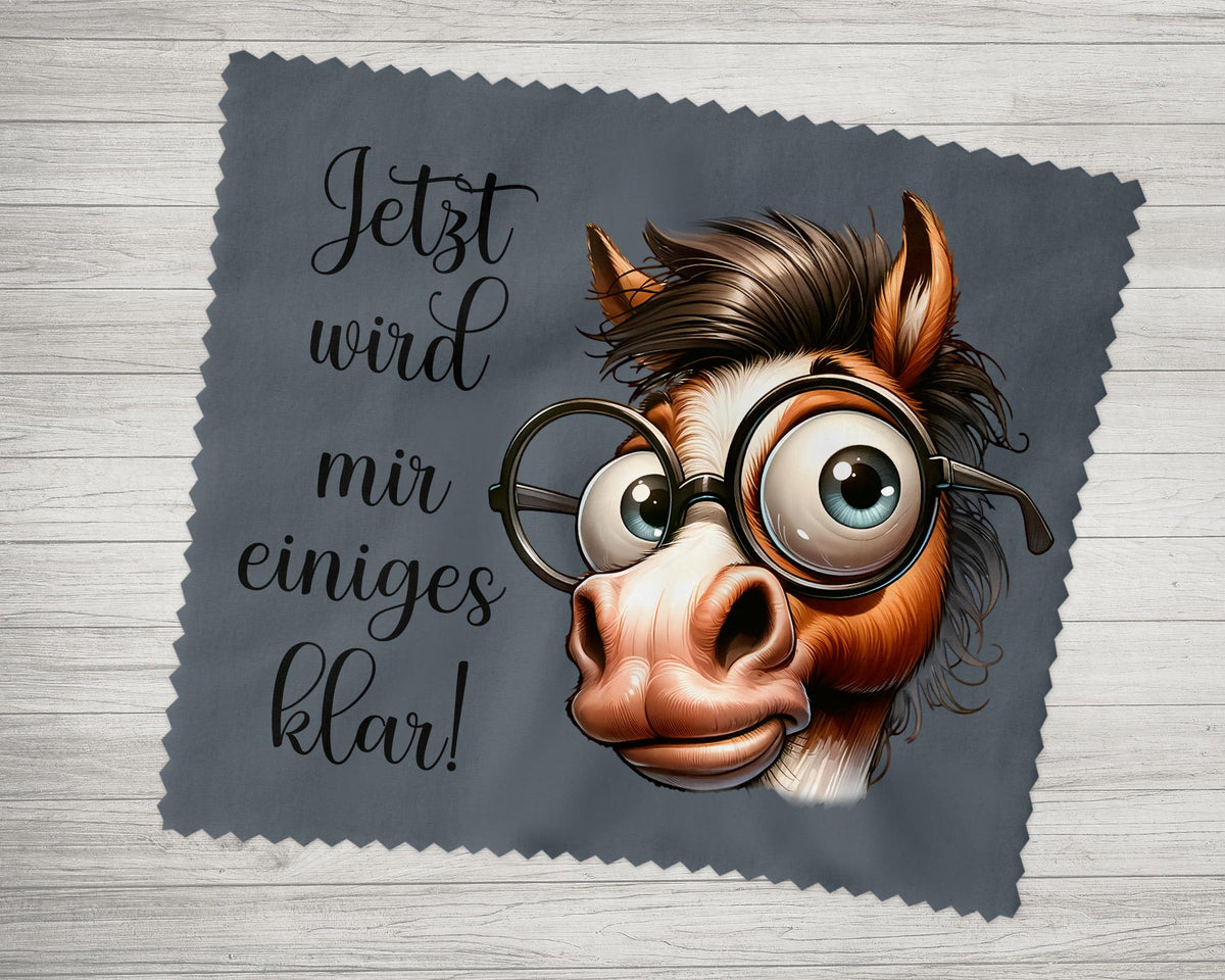 Brillenputztuch - Objektivtuch Jetzt wird mir einiges Klar! Pferd