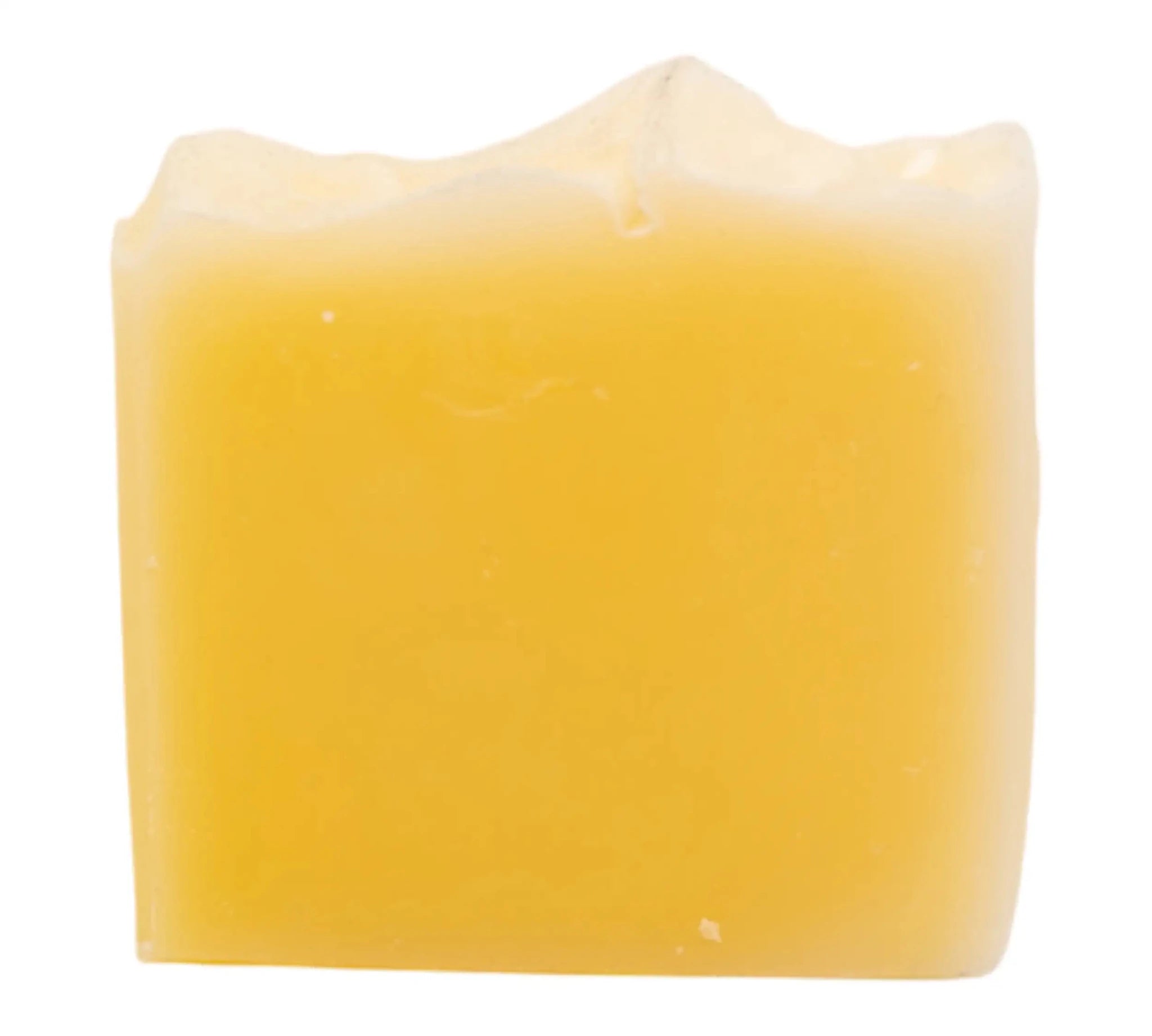 Fellfreund – Handgesiedetes Hunde - Shampoo von Friesenzart - Zwergenstick