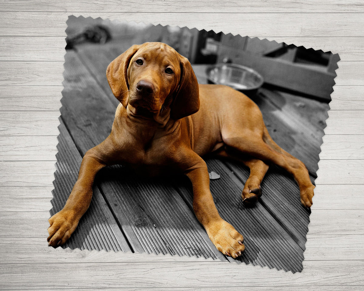Dein Design Brillenputztuch - Fototuch Individuell