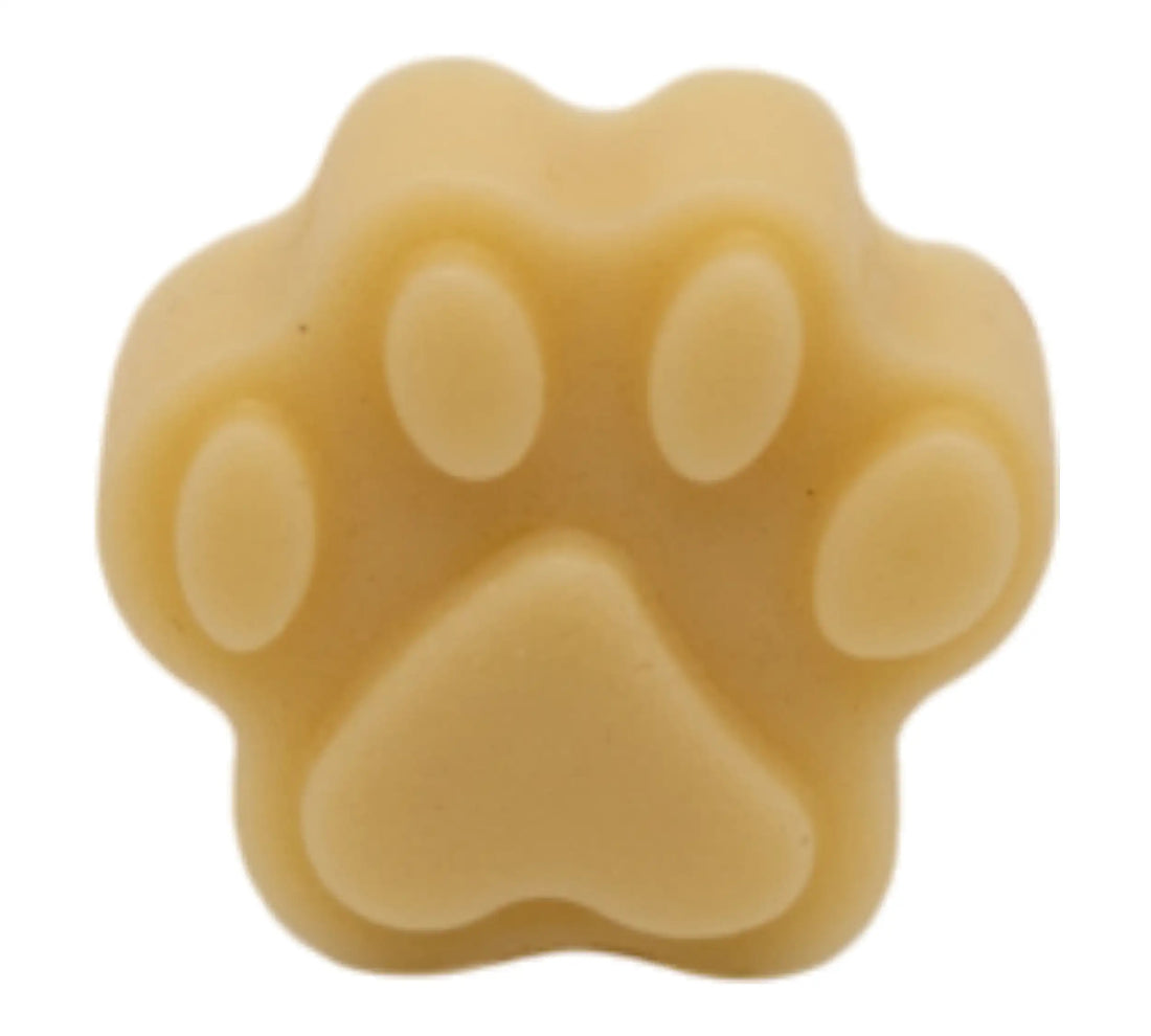 Pflege-Bundle für Hunde – Fellfreund &amp; Pfotenbalsam